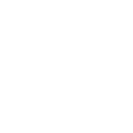 Video Camera Icon